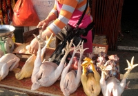 Giá thực phẩm ngày 6/10: Thịt gà tại chợ tăng nhẹ