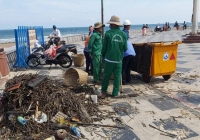 Bãi biển Vũng Tàu ngập trong hàng tấn rác