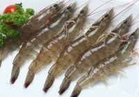 Giá thực phẩm ngày 9/10: Tôm thẻ giảm 30.000 đồng/kg