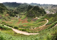 Hành trình mở đường Hạnh Phúc