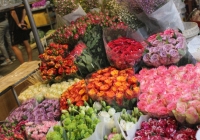 Tấp nập chợ hoa đêm Quảng An, rạng sáng ngày 20 - 10