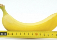 Kích cỡ 'cậu nhỏ' ảnh hưởng đến thụ thai? 