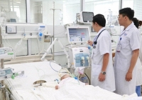 Ngộ độc thuốc nam, bé 3 tháng tuổi nguy kịch