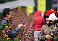 Dự báo Tết Nguyên đán Canh Tý 2020 sẽ đón rét đậm