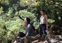 LHP Việt Nam XXI: Phim nhà nước dự thi theo trường hợp đặc cách