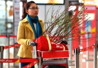 Dịch vụ vận chuyển đào, mai Tết 2020 vào mùa