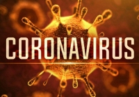 3 bệnh nhân Việt Nam nhiễm virus corona đã đi qua những đâu?
