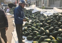 Bộ Công Thương đưa giải pháp cho nông sản Việt Nam trước tình hình dịch bệnh