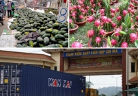 Không chuyển hàng nông sản lên biên giới Trung Quốc