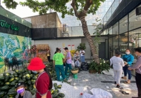 Được 'giải cứu', giá dưa hấu dần ổn định, tăng nhẹ