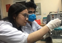 Việt Nam tiến hành thử nghiệm thuốc điều trị virus corona