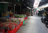 Chợ hoa ngày Valentine: Khách đến mua thưa thớt vì lo sợ dịch bệnh