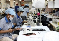 Dịch bệnh đang ảnh hưởng tiêu cực đến nguồn cung nguyên liệu cho các doanh nghiệp