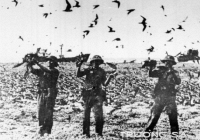 45 năm trước, những ngày tháng 4: Giải phóng quần đảo Trường Sa