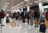 Gần 1000 du học sinh, công dân Việt Nam tại Mỹ đăng ký về nước