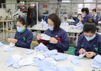 Chỉ 20/68 doanh nghiệp trả lời khi Bộ Y tế hỏi mua khẩu trang