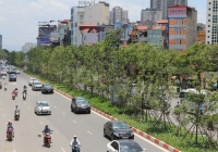 Chất lượng không khí có nhiều biến động trong những ngày cách ly xã hội