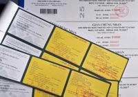 Bảo hiểm xe máy 'đắt hàng như tôm tươi' sau khi CSGT ra quân kiểm tra phương tiện