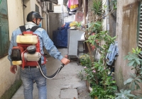 Hà Nội đã ghi nhận 137 trường hợp mắc sốt xuất huyết
