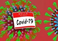 Chỉ có 4% trong 23.000 mẫu nghiên cứu phát triển kháng thể chống lại virus Covid-19