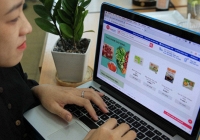 Mua sắm thực phẩm tươi sống online ngày càng rầm rộ