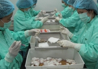 Vaccine ngừa Covid-19 của Việt Nam sắp được thử nghiệm trên người