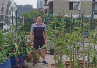 Kỹ sư người Việt chia sẻ về 100 ngày chống chọi Covid-19