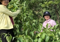 Các hoạt động chính của Hội Nữ trí thức Việt Nam trong tháng 7- 8/2020