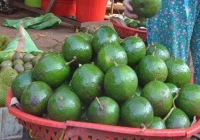 Giá bơ booth và chanh dây 'lao dốc'