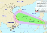 Dự báo áp thấp nhiệt có khả năng mạnh thành bão 
