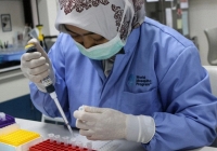 Thí nghiệm mới tiêm thẳng vi khuẩn vào cơ thể muỗi vằn nhằm ngăn chặn khả năng truyền virus sốt xuất huyết