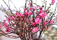 Lịch nghỉ Tết Nguyên đán 2021 chính thức với người lao động