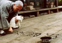 Những bộ phim ấn tượng của 'đạo diễn quái kiệt' Kim Ki Duk