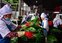 Những chính sách mới áp dụng cho toàn bộ lực lượng lao động xã hội từ năm 2021