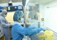 Bộ Y tế đề nghị dừng tổ chức, hạn chế bay từ quốc gia có virus biến thể