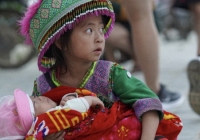 Sapa kêu gọi không mua hàng rong của trẻ em để bảo vệ trẻ em