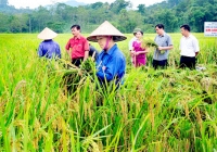 Nông nghiệp rất cần các đề tài thuộc khoa học quản lý, khoa học mang tính tổng hợp cao
