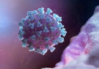 Phát hiện mới: Virus corona có thể 'ẩn nấp' trong não người