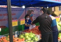 Các điểm phân phối của Hà Nội hỗ trợ tiêu thụ nông sản từ vùng dịch Hải Dương