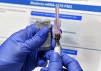 Việt Nam dự kiến nhận 7 đợt vaccine Covid-19 trong năm nay