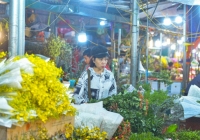 Cảnh nhộn nhịp ở chợ hoa lớn nhất Thủ đô trước ngày 8/3