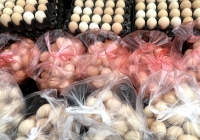 Giá trứng gà xuống thấp chỉ còn 1.400 đồng/quả