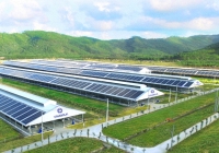 Vinamilk đầu tư hệ thống năng lượng mặt trời tại 12 trang trại bò sữa trên cả nước