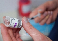 WHO xác nhận mối liên hệ giữa vaccine AstraZeneca với tình trạng đông máu hy hữu