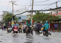 Mưa lớn ở Sài Gòn khiến cây đổ, nhà ngập nước