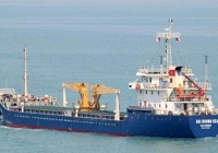 Vụ tàu có 12 thuyền viên dương tính: Tỉnh Long An xin lỗi tỉnh Bà Rịa - Vũng Tàu 
