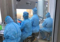 Giải trình tự gene ca ở Hưng Yên, Hà Nội, Thái Bình đều chủng Ấn Độ