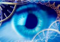 Khôi phục một phần thị lực cho người khiếm thị nhờ liệu pháp gene từ tảo đơn bào