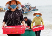 Chợ cá Nhân Trạch – nụ cười lao động sáng cùng ban mai trong nét đẹp cổ tích