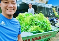 Bị chê 'dại' vì không tăng giá mùa dịch, người đàn ông bán rau có cách trả lời khiến ai cũng nể